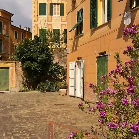 Apartment - 