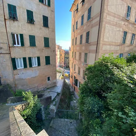 Apartment - 
